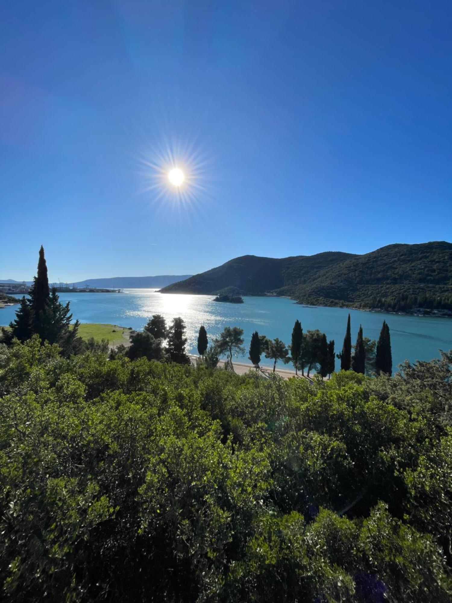 “gust” Ploce (Dubrovnik-Neretva)
