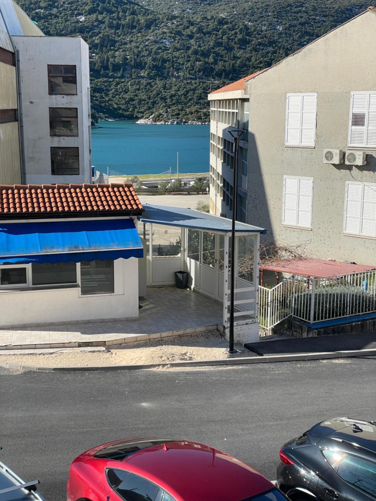 Apartament “gust”