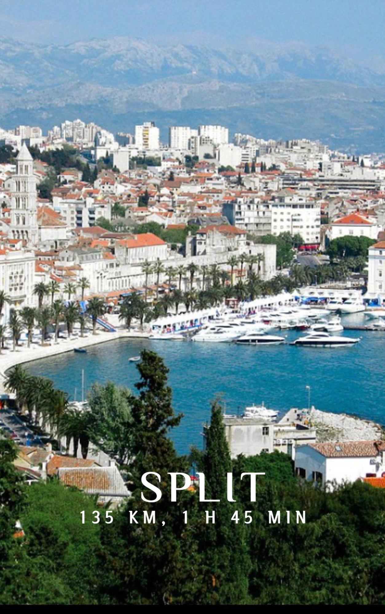 Apartament “gust”